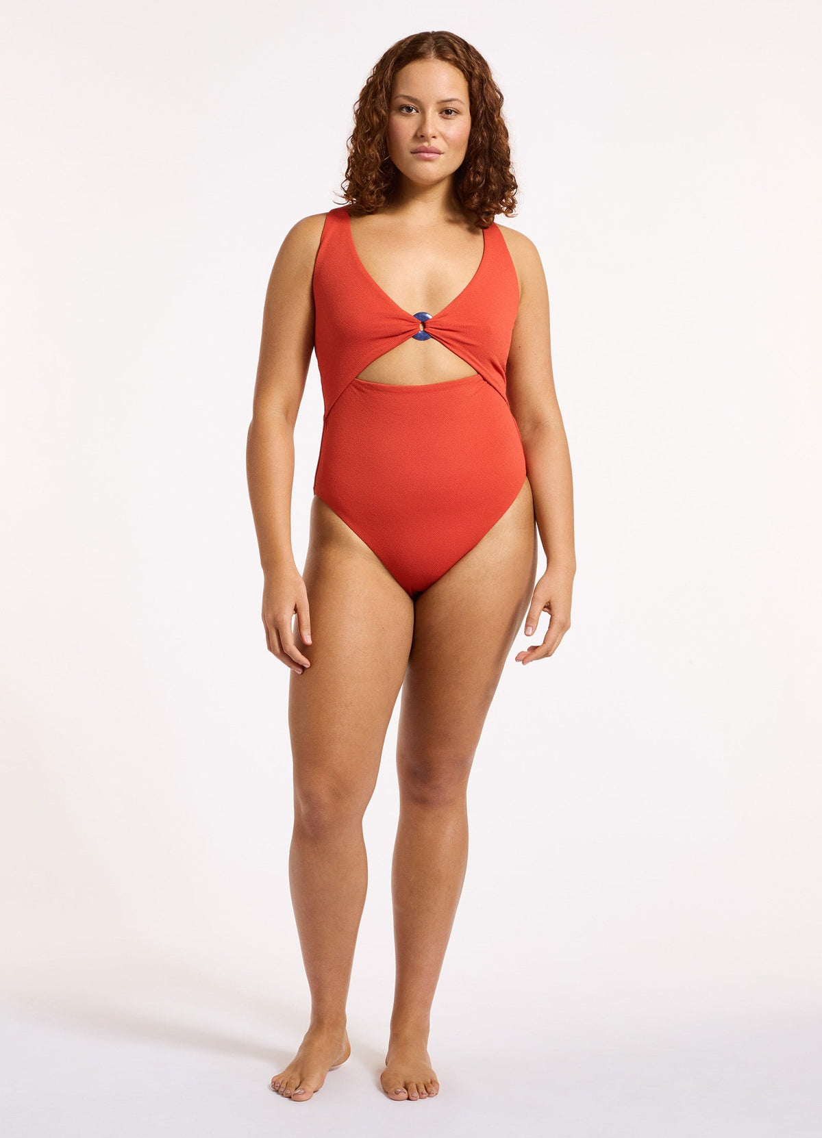 Alessia Plunge One Piece | Seafolly