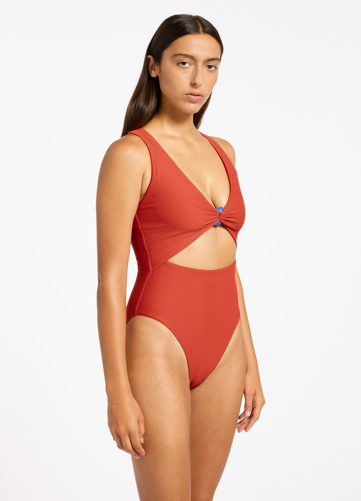Alessia Plunge One Piece | Seafolly